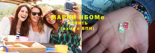 прущие грибы Гусев