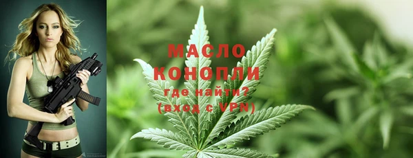 метадон Гусь-Хрустальный
