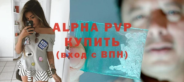 прущие грибы Гусев