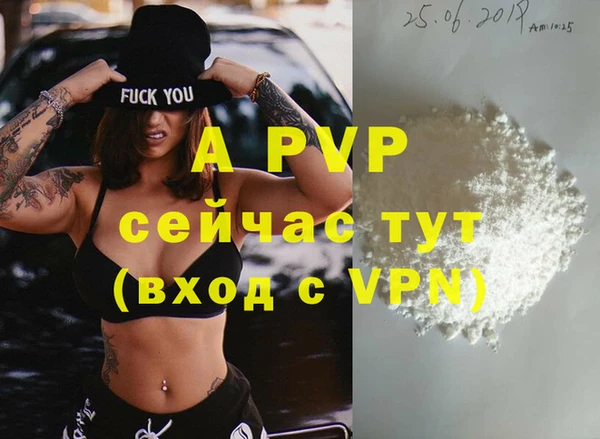 прущие грибы Гусев