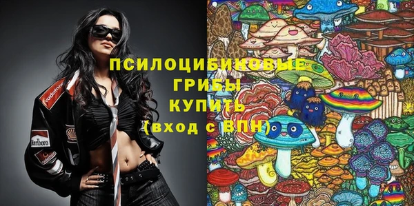 МДМА Гусиноозёрск