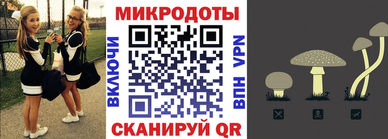 Псилоцибиновые грибы Magic Shrooms  Купить  Медынь 